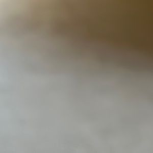 Meet your Posher, Dipa